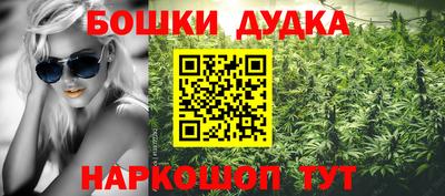 гидра Партизанск
