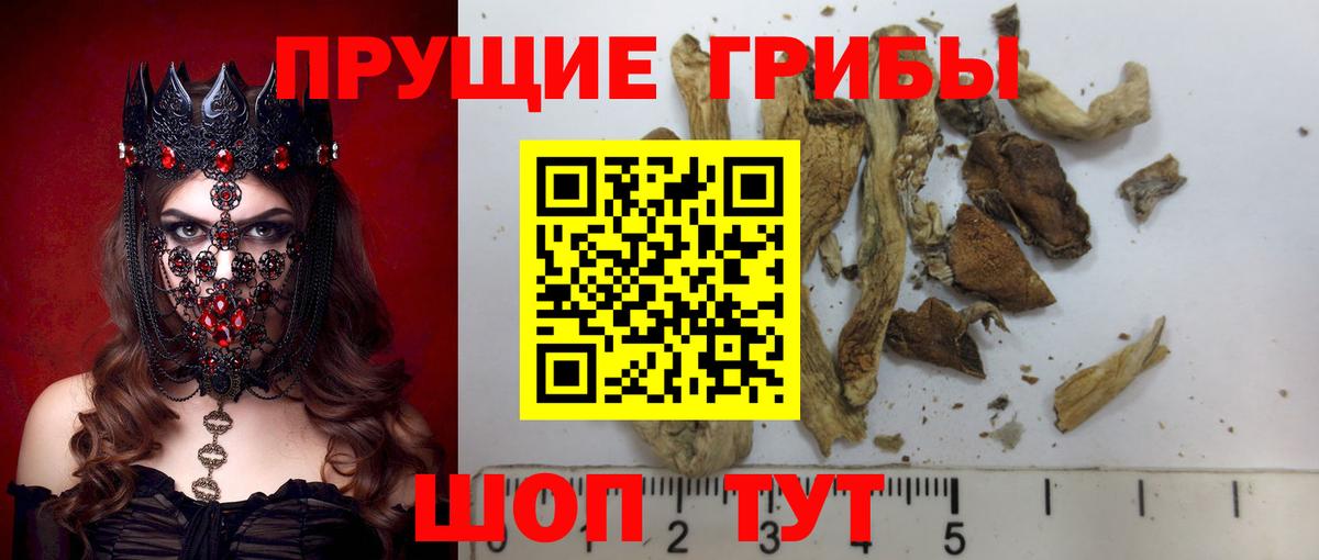 Галлюциногенные грибы прущие грибы Сухой Лог